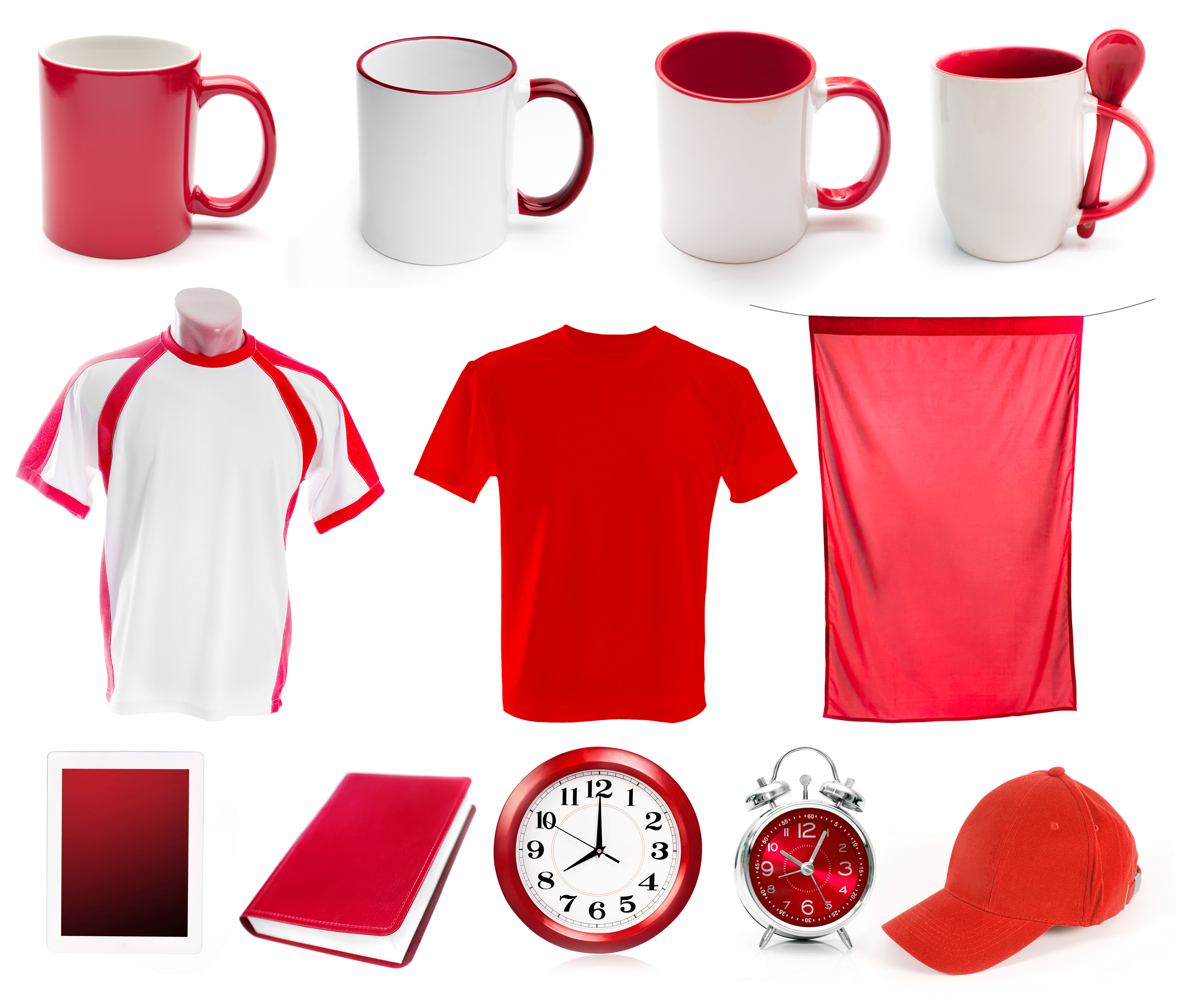 Logistics & Equipment Rental